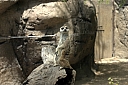 crw_3790.jpg