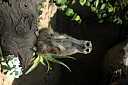 crw_3791.jpg