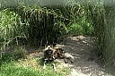 crw_3792.jpg