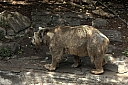 crw_3793.jpg