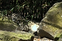 crw_3794.jpg