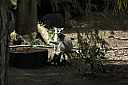 crw_3797.jpg