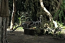 crw_3798.jpg