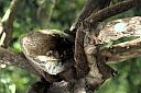 crw_3799.jpg