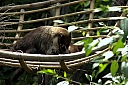 crw_3800.jpg