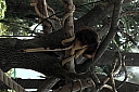crw_3802.jpg