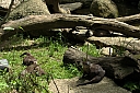 crw_3804.jpg