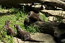crw_3805.jpg