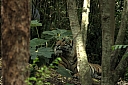 crw_3807.jpg