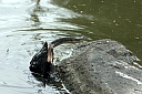 crw_3808.jpg