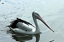 crw_3809.jpg