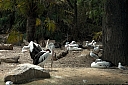 crw_3810.jpg