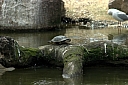 crw_3811.jpg