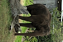 crw_3812.jpg
