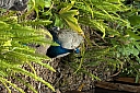 crw_3813.jpg