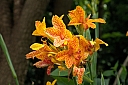 crw_3815.jpg
