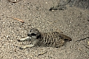 crw_3817.jpg