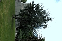 crw_3826.jpg