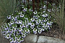 crw_3828.jpg