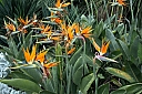 crw_3829.jpg