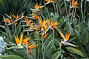 crw_3830.jpg