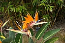 crw_3831.jpg