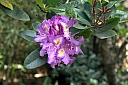 crw_3834.jpg