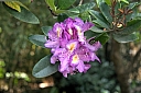 crw_3835.jpg