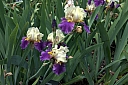 crw_3840.jpg