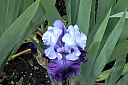 crw_3841.jpg