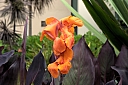 crw_3843.jpg