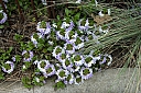 crw_3845.jpg