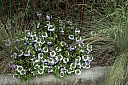 crw_3846.jpg