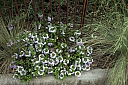 crw_3847.jpg