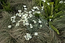 crw_3848.jpg