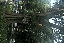 crw_3861.jpg