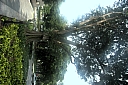 crw_3862.jpg