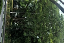 crw_3863.jpg