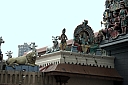 crw_3869.jpg