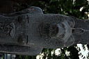 crw_3890.jpg