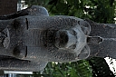 crw_3892.jpg