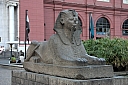 crw_3901.jpg