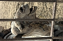 crw_3931.jpg