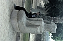 crw_3941.jpg