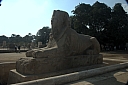 crw_3942.jpg