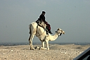crw_3950.jpg