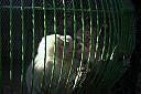 crw_3965.jpg
