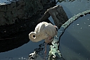 crw_3967.jpg