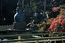 crw_3968.jpg