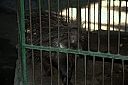 crw_3969.jpg